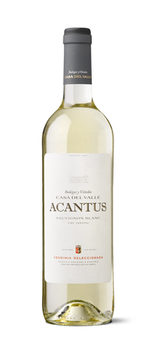 Bodegas y Vinedos Casa Del Valle Acantus Sauvignon Blanc