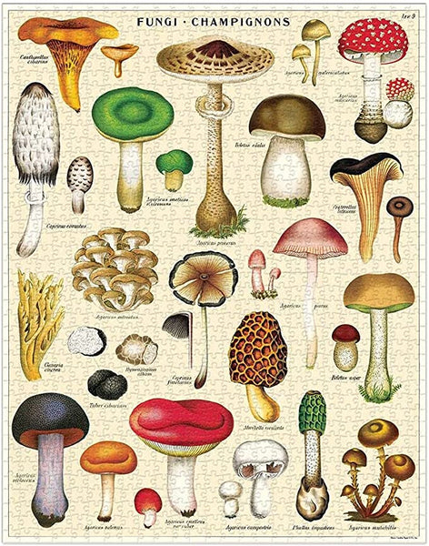 Mushroom - 1000pc Puzzle – White Horse Wine and Spirits