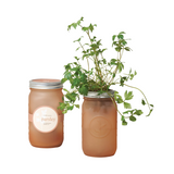 Garden Jar: Parsley