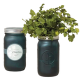 Garden Jar: Cilantro