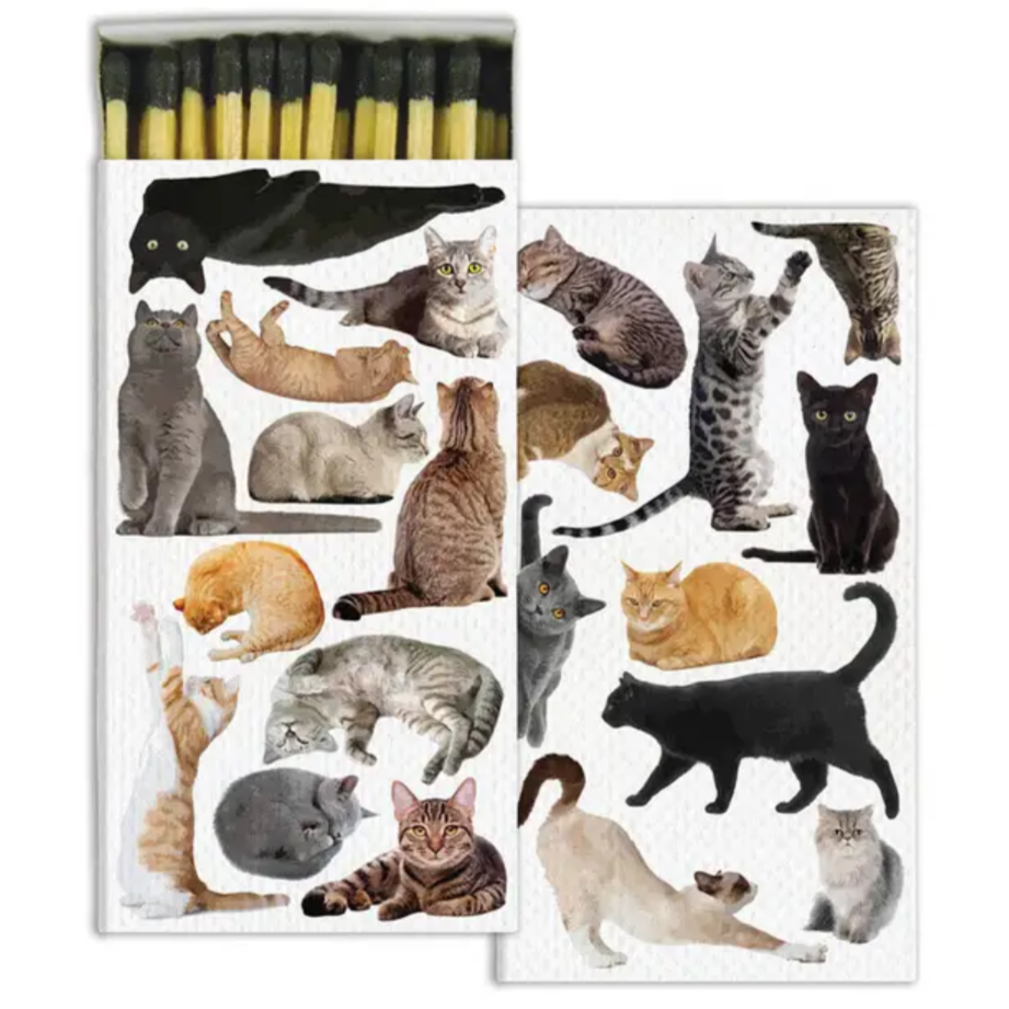 Homart Matches Cat Pack