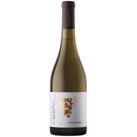 Domaine Couturier Bourgogne Blanc