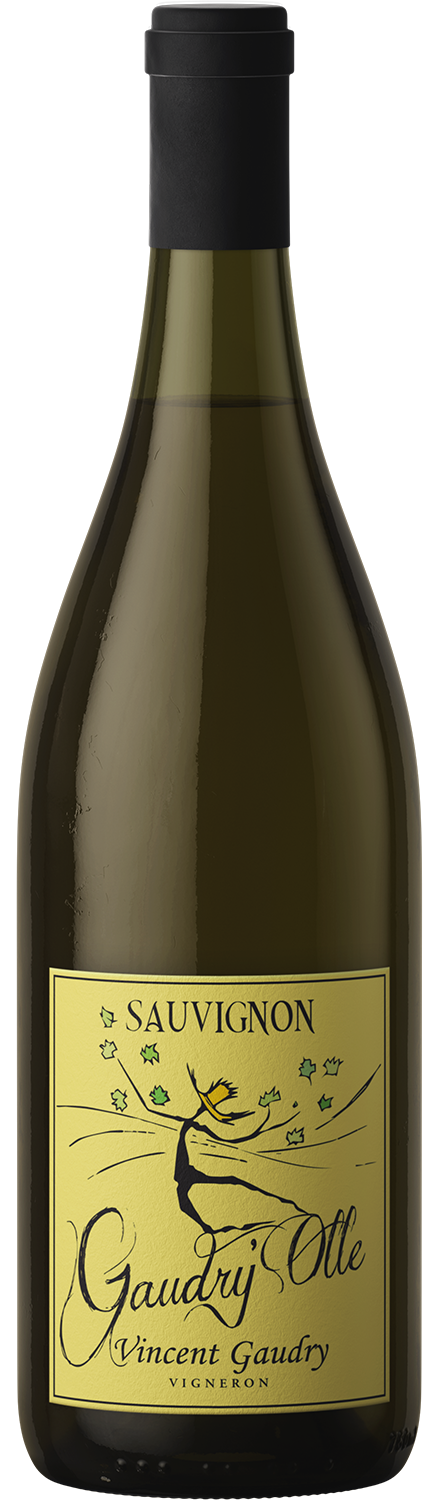 Vincent Gaudry Gaudry Olle Sauvignon Blanc
