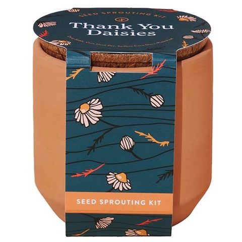 Tiny Terracotta Kit: Thank You Daisies