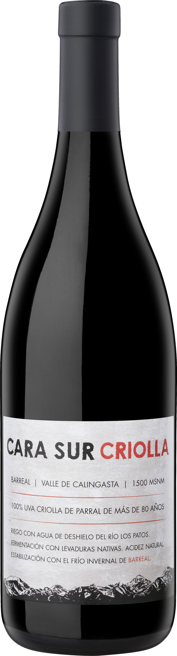 Cara Sur Criolla Chica