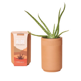 Terracotta Kit: Healing Aloe