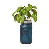 Garden Jar: Basil