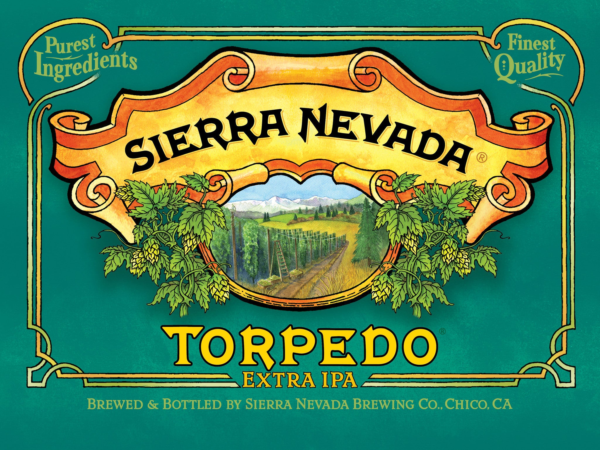 Sierra Nevada Torpedo Ipa 12Pk Can
