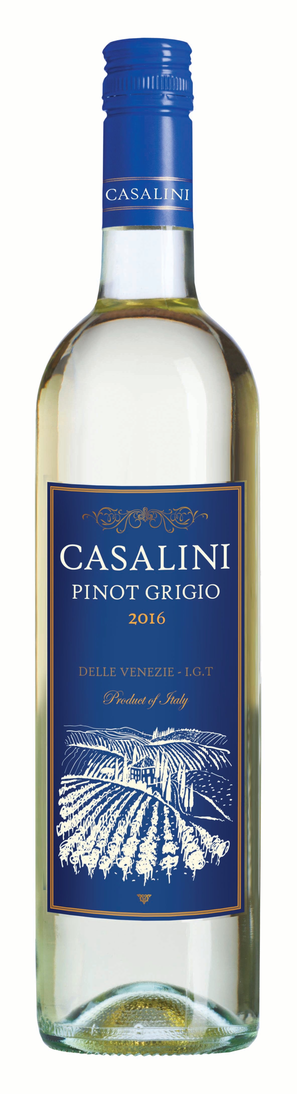 Casalini Pinot Grigio