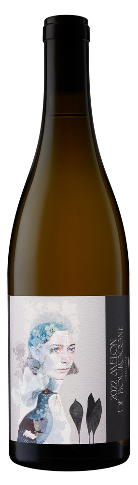 Jolie Laide Melon de Bourgogne