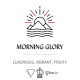 Small World WB Coffee: Morning Glory