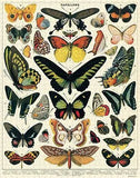 Butterflies - 1000pc Puzzle