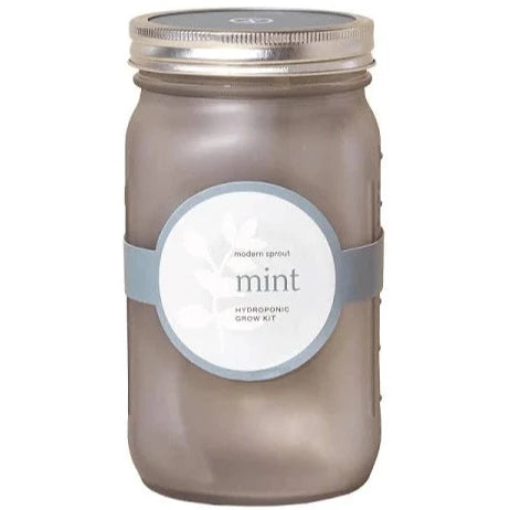 Garden Jar: Mint